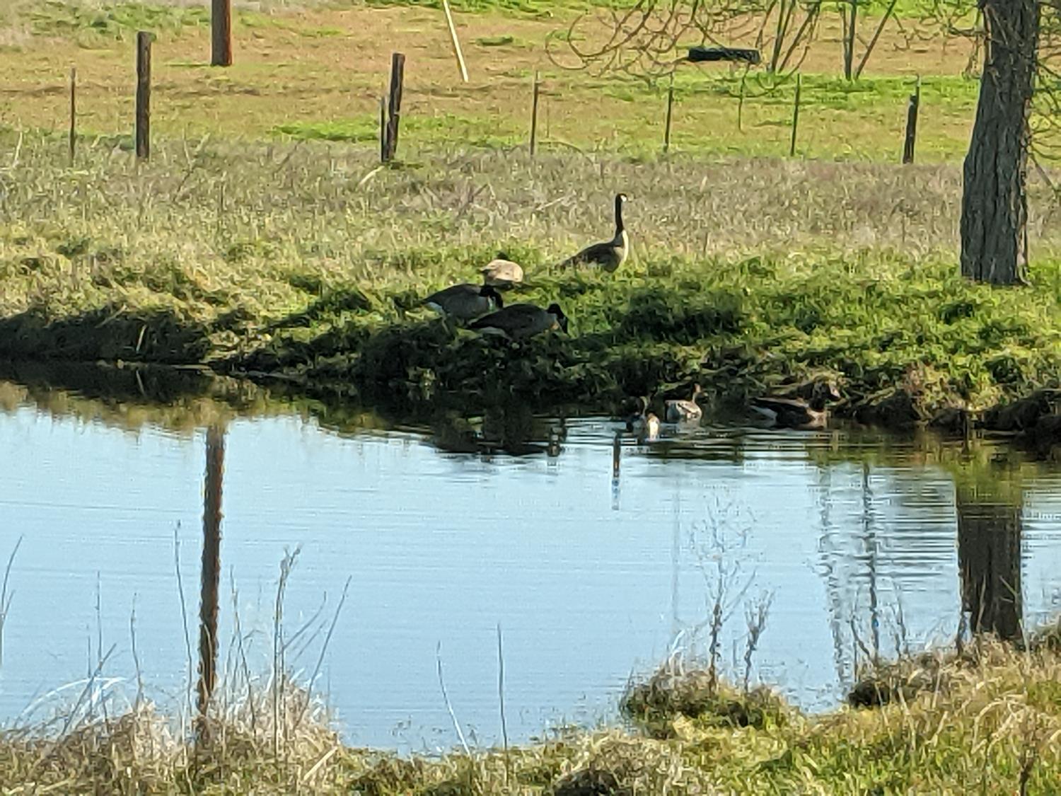 6510 E Copper Ave, Clovis, CA 93619