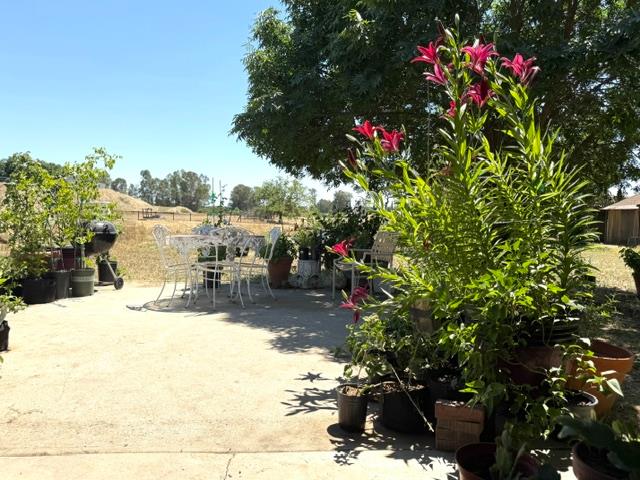 35570 Avenue 14 1/2, Madera, CA 93636