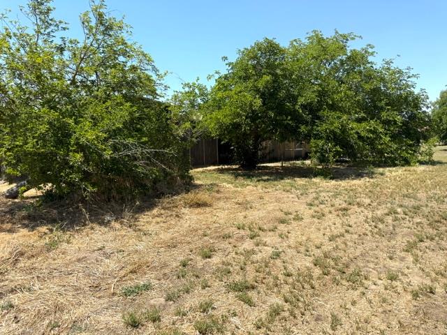 35570 Avenue 14 1/2, Madera, CA 93636