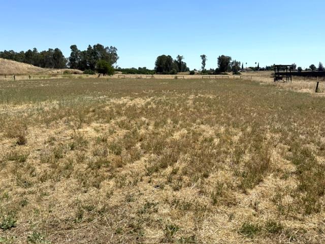 35570 Avenue 14 1/2, Madera, CA 93636