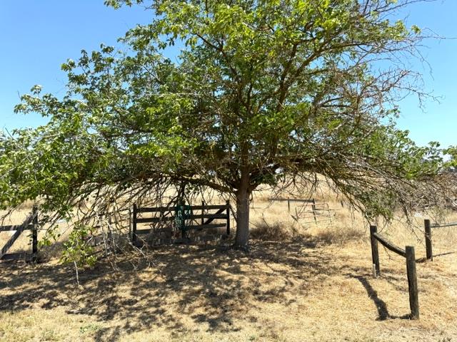 35570 Avenue 14 1/2, Madera, CA 93636